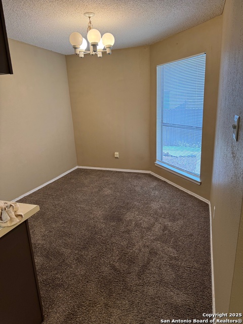 4903 Ali Ave Property Photo 4