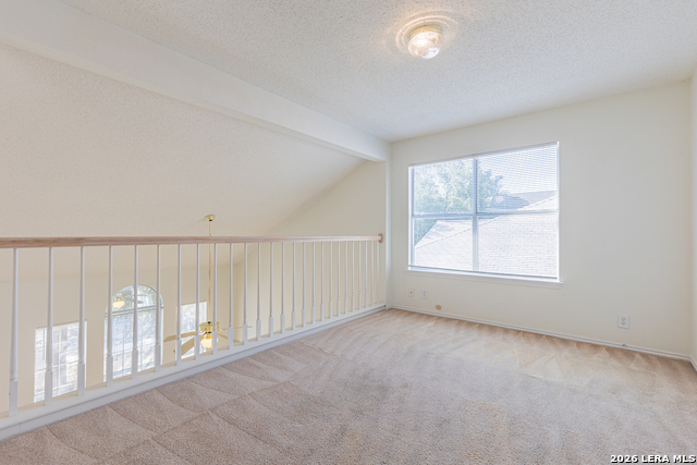 14215 Spotted Cedar Property Photo 22