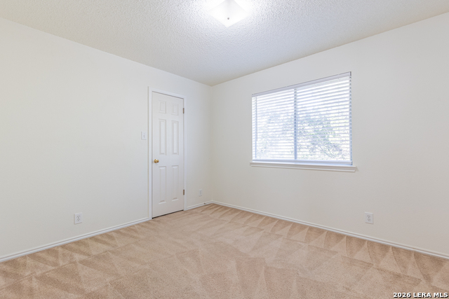14215 Spotted Cedar Property Photo 24