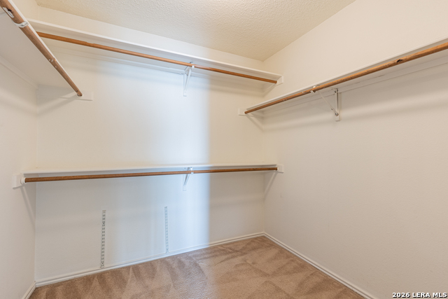 14215 Spotted Cedar Property Photo 36