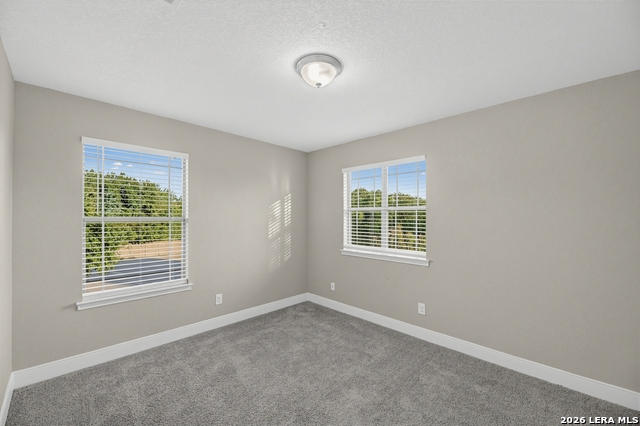 13103 Cakebread Property Photo 16