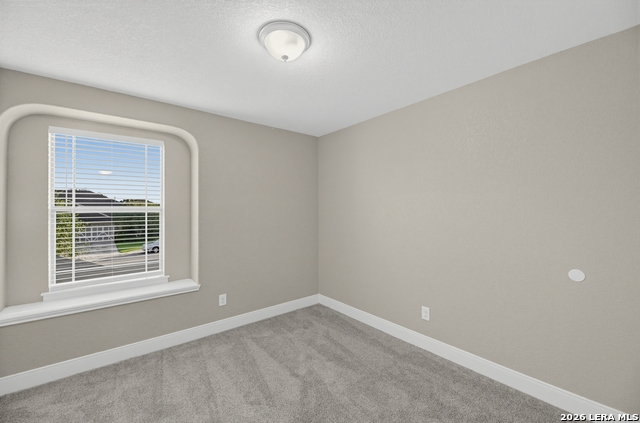 13103 Cakebread Property Photo 18