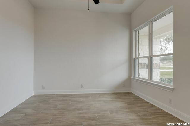 1153 Cape May Warbler Property Photo 6