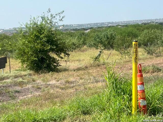 7905 Tates Property Photo 8