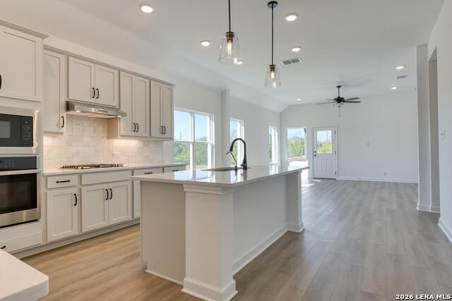 1243 Higgins Cove Property Photo 12