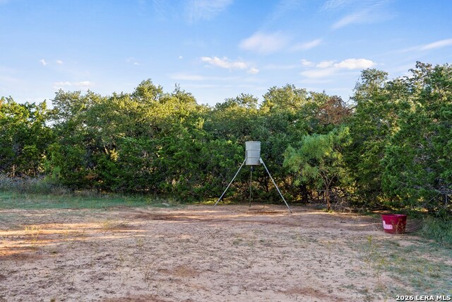 307 Gold Schaefer Rd Property Photo 8