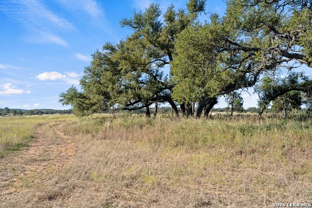 307 Gold Schaefer Rd Property Photo 11