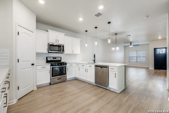 15115 Escalante Pass Property Photo 3