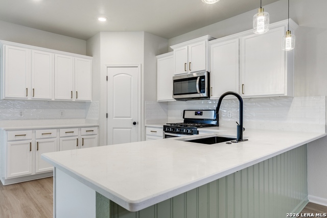 15115 Escalante Pass Property Photo 4