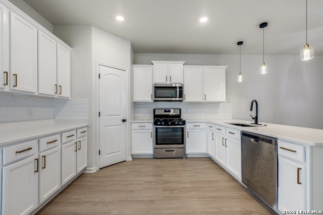 15115 Escalante Pass Property Photo 10