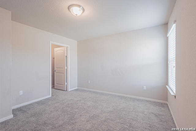 2122 Flintshire Property Photo 19