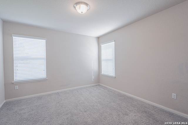 2122 Flintshire Property Photo 22