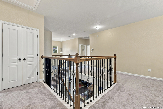 9035 Woodland Trce Property Photo 25