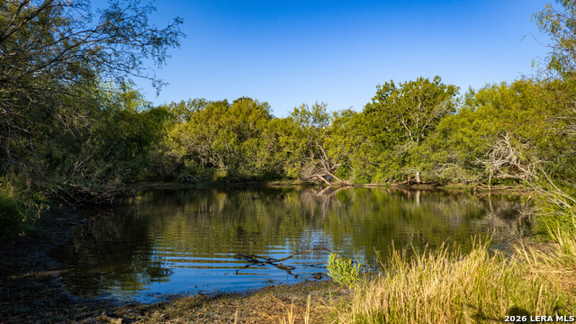 13050 Fm 1346 Property Photo 6