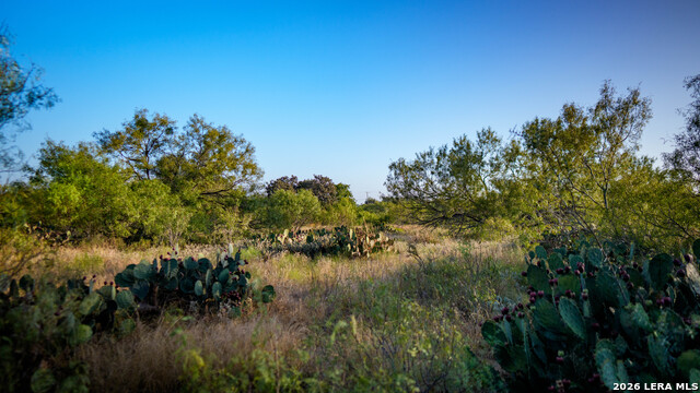 13050 Fm 1346 Property Photo 11