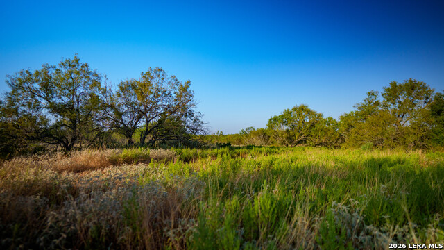 13050 Fm 1346 Property Photo 14