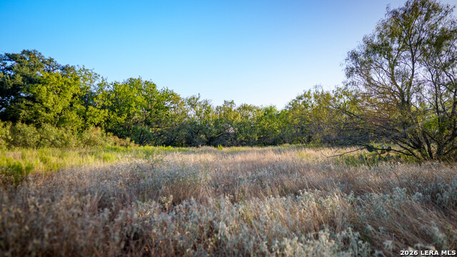 13050 Fm 1346 Property Photo 15