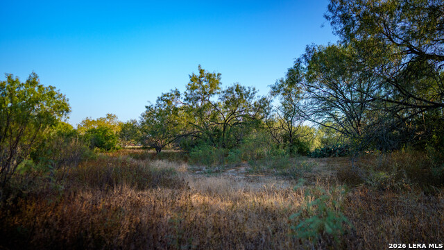 13050 Fm 1346 Property Photo 17