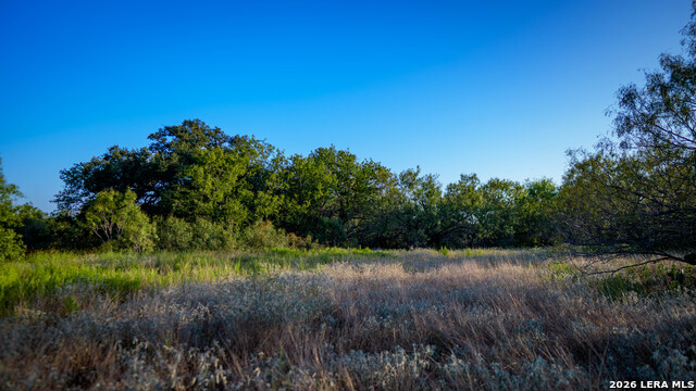 13050 Fm 1346 Property Photo 18
