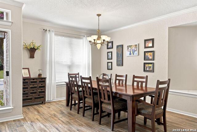 7923 Calvary Stage Property Photo 3