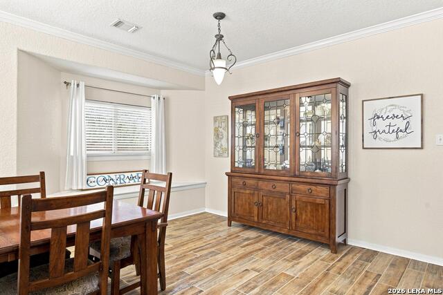 7923 Calvary Stage Property Photo 4