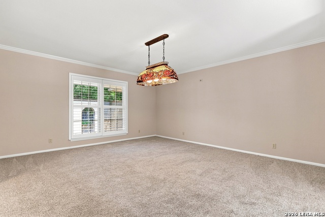 102 Irongate Rd Property Photo 9