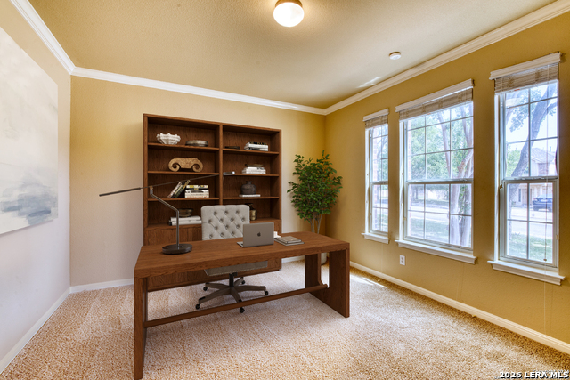 1311 Golf Cyn Property Photo 15