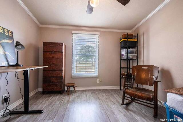 4005 County Road 307 Property Photo 29