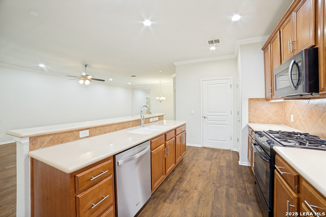 12522 Rapids Pass Property Photo 15