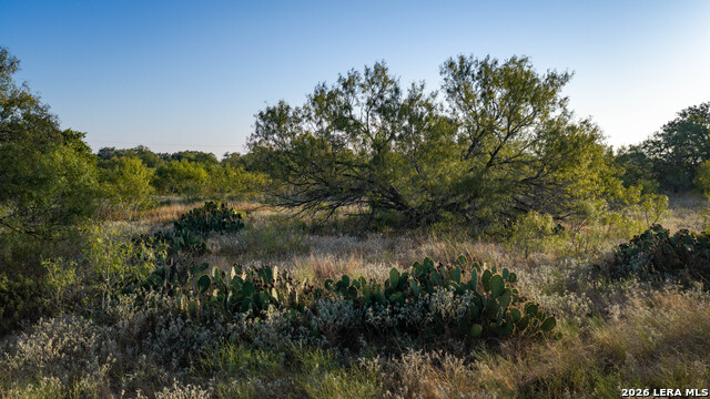 13407 Fm 1346 Property Photo 22
