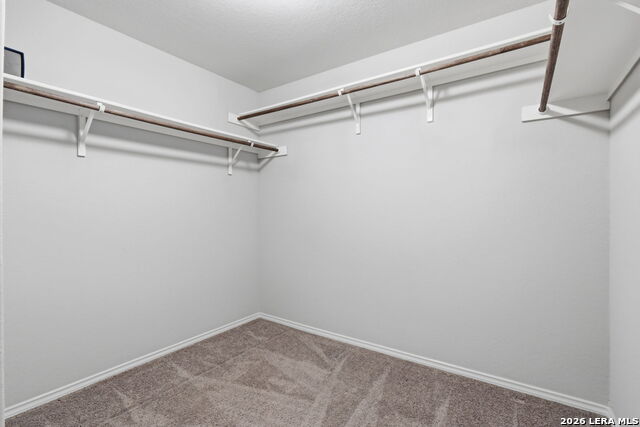 8449 Lamus Wheel Property Photo 23