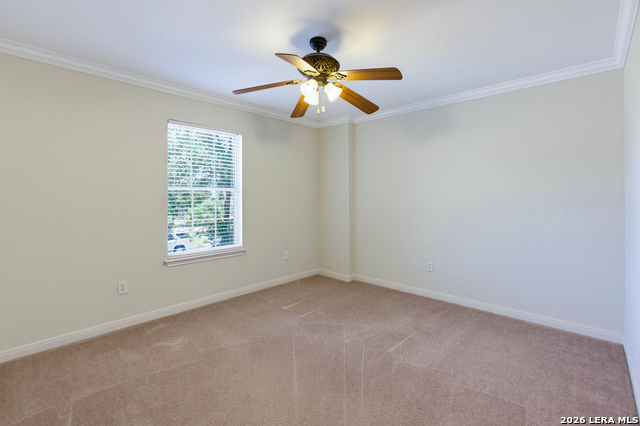 1931 Walter Raleigh Property Photo 17