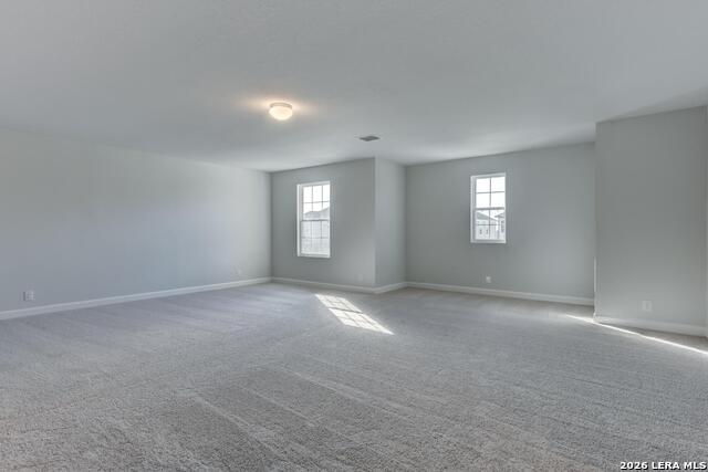 181 Thornbloom Property Photo 25