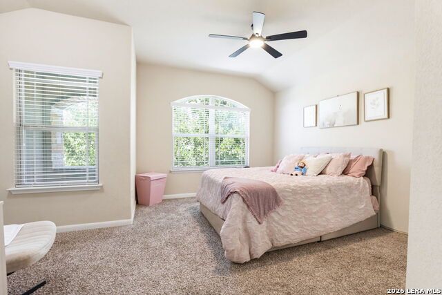 8114 Limerick Fls Property Photo 17