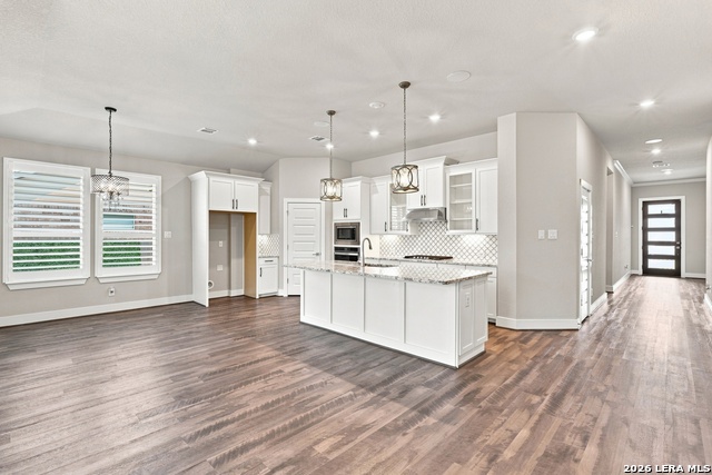 24203 Dante Circle Property Photo 2