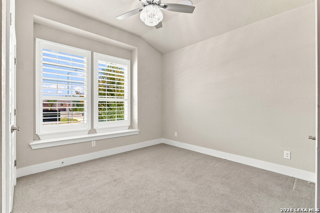 24203 Dante Circle Property Photo 15