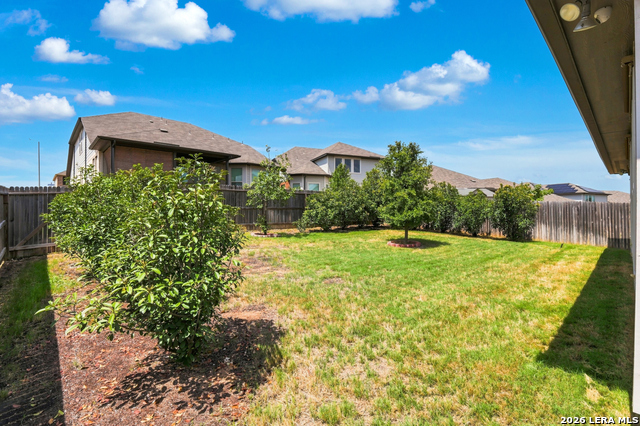 24203 Dante Circle Property Photo 20