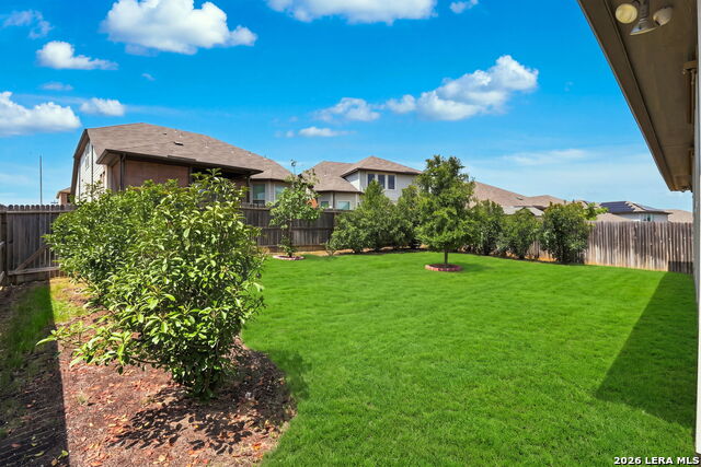 24203 Dante Circle Property Photo 21