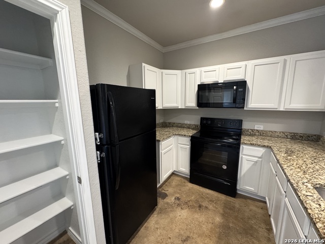 16922 Dancing Ava Property Photo 12