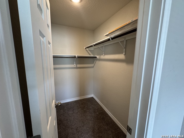 16922 Dancing Ava Property Photo 19
