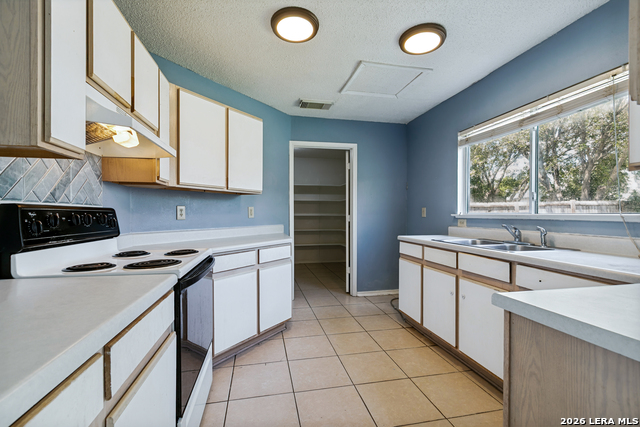 10727 Vollmer Property Photo 10