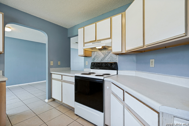 10727 Vollmer Property Photo 12