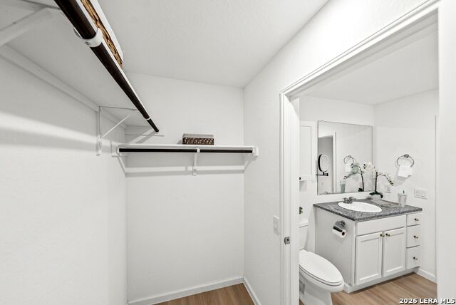822 Cook Bnd Property Photo 23