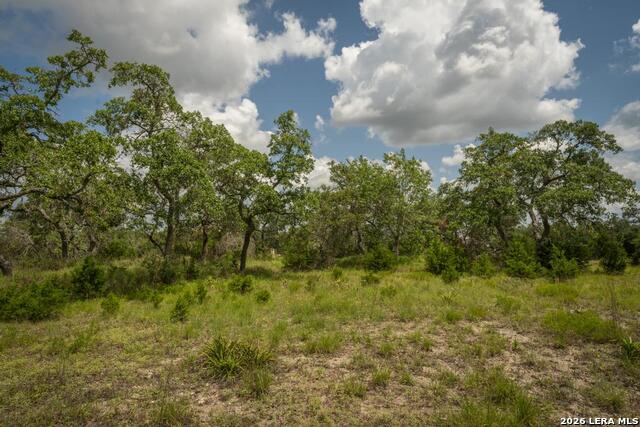 3044 Ridge Crossing Property Photo 7
