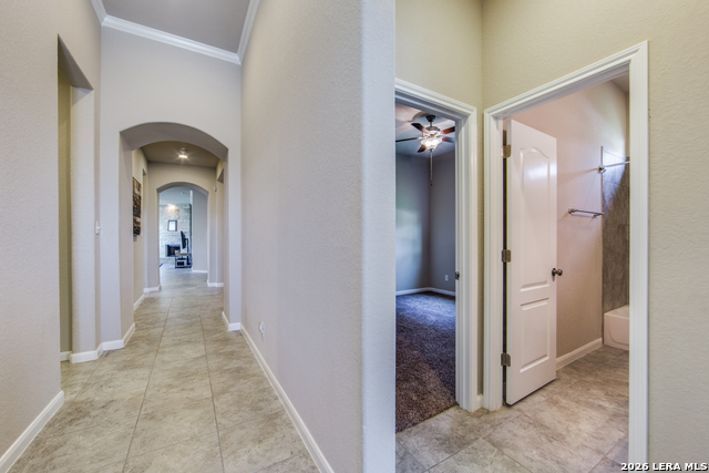 11926 Tower Frst Property Photo 4