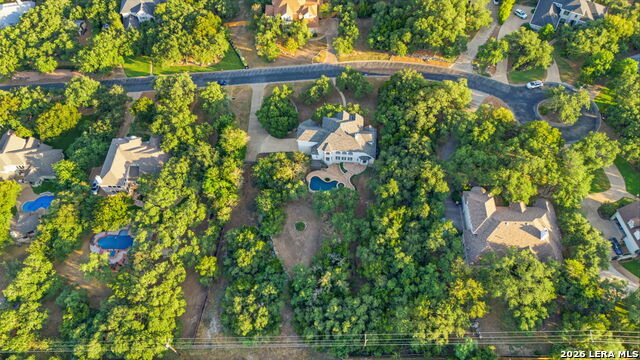 933 Great Tree Property Photo 5