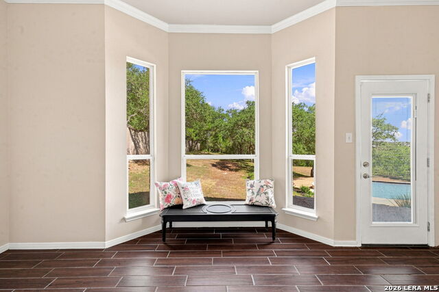933 Great Tree Property Photo 18