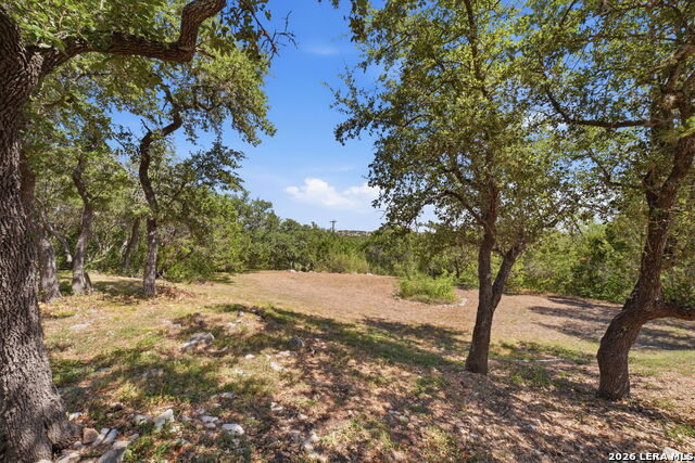 933 Great Tree Property Photo 29