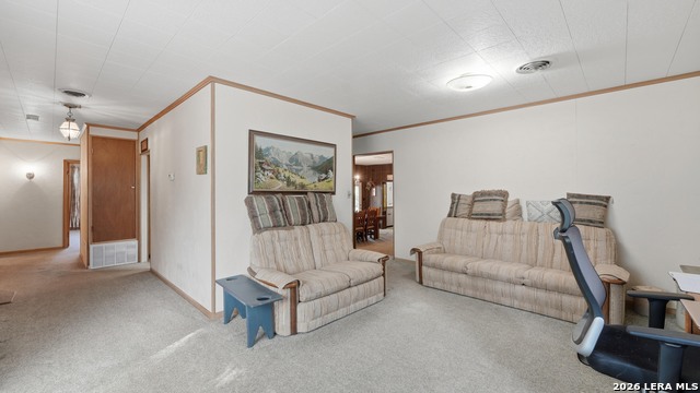 2246 Gruene Rd Property Photo 6