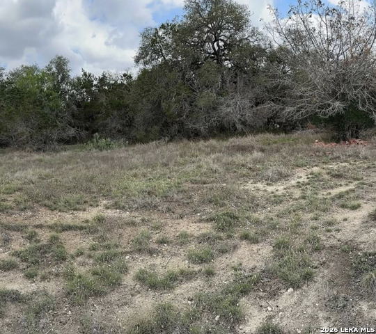 1154 Antelope Property Photo 4